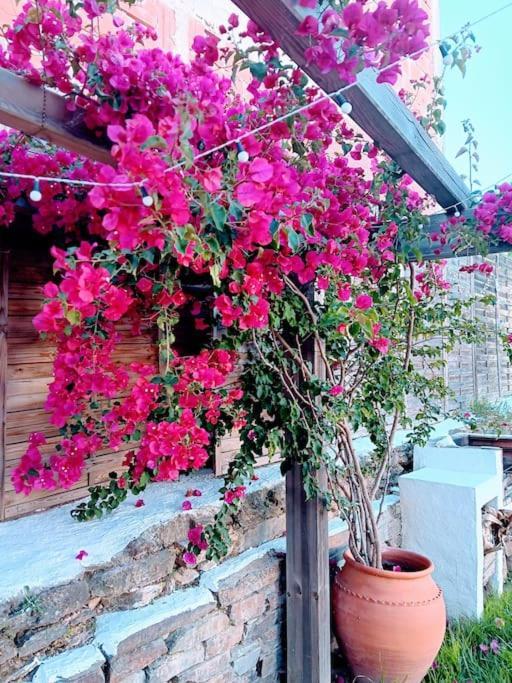 Holiday home Tribo Da *